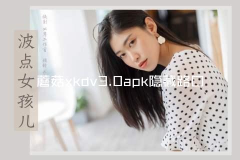 蘑菇xkdv3.0apk隐藏路口
